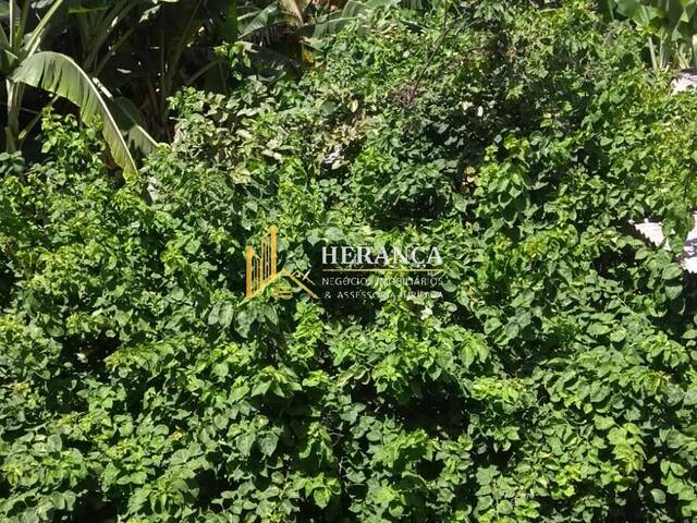 Terreno frente de Rua para Venda em Rio de Janeiro - 5
