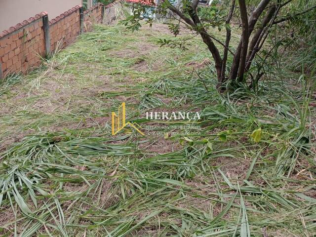 #2821 - Terreno frente de Rua para Venda em Rio de Janeiro - RJ - 3