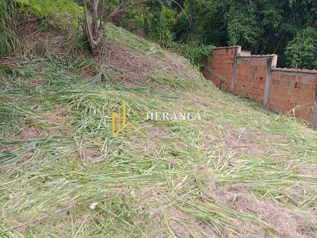 #2821 - Terreno frente de Rua para Venda em Rio de Janeiro - RJ - 2