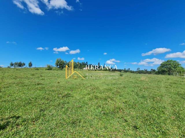 #3304 - Fazenda para Venda em Araruama - RJ - 1